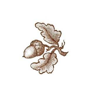 Small Acorn (sets of 10)