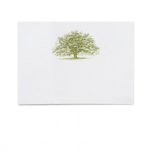 Live Oak Place Cards (set of 16)