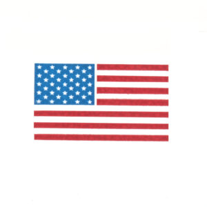 American Flag (sets of 10)