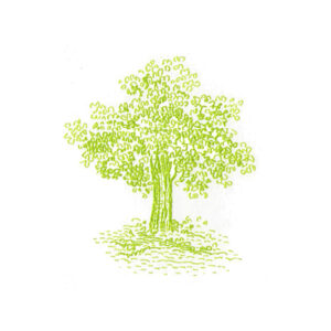 Apple Tree (sets of 10)