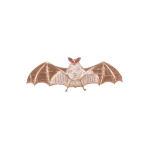 Bat