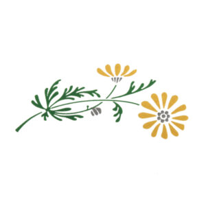 Black-Eyed Susan (sets of 10)