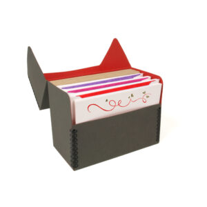 Valentine's Day Correspondence Box