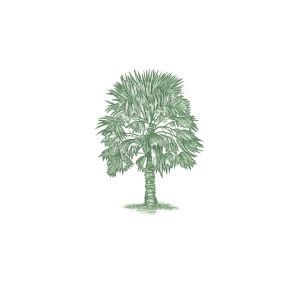 Florida Palm - Engraved Stationery