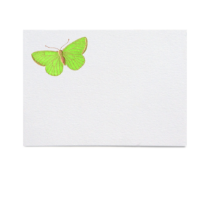 Butterfly Place Cards