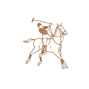 Polo Pony (sets of 10)